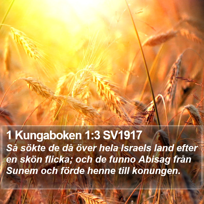 1 Kungaboken 1:3 SV1917 Bible Study