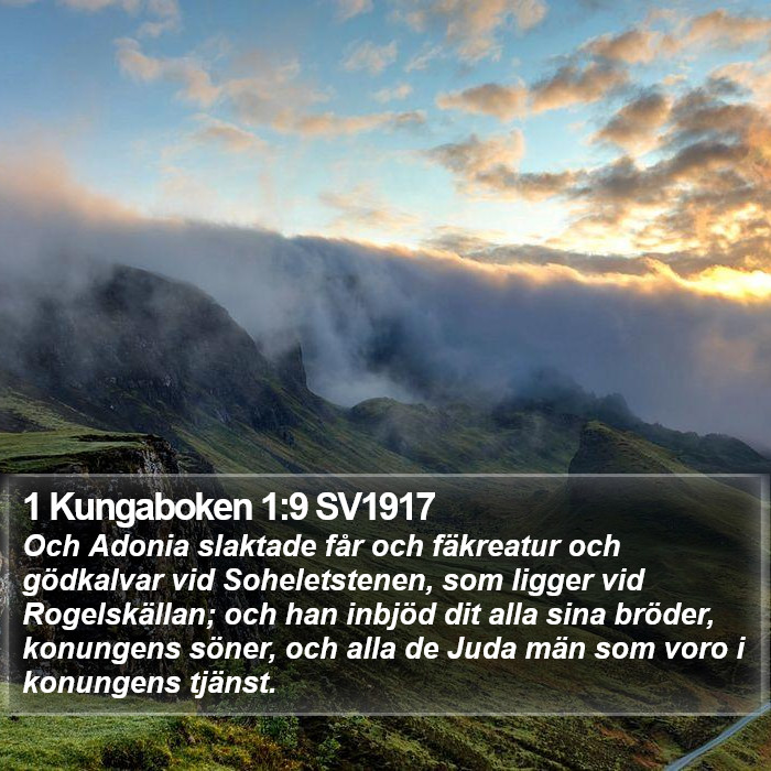 1 Kungaboken 1:9 SV1917 Bible Study