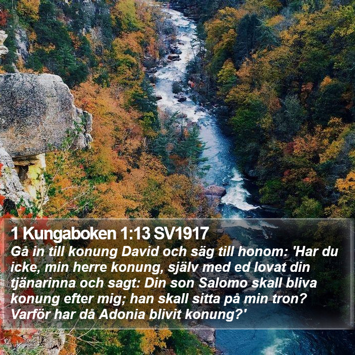 1 Kungaboken 1:13 SV1917 Bible Study