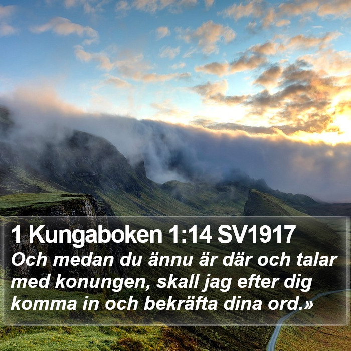 1 Kungaboken 1:14 SV1917 Bible Study