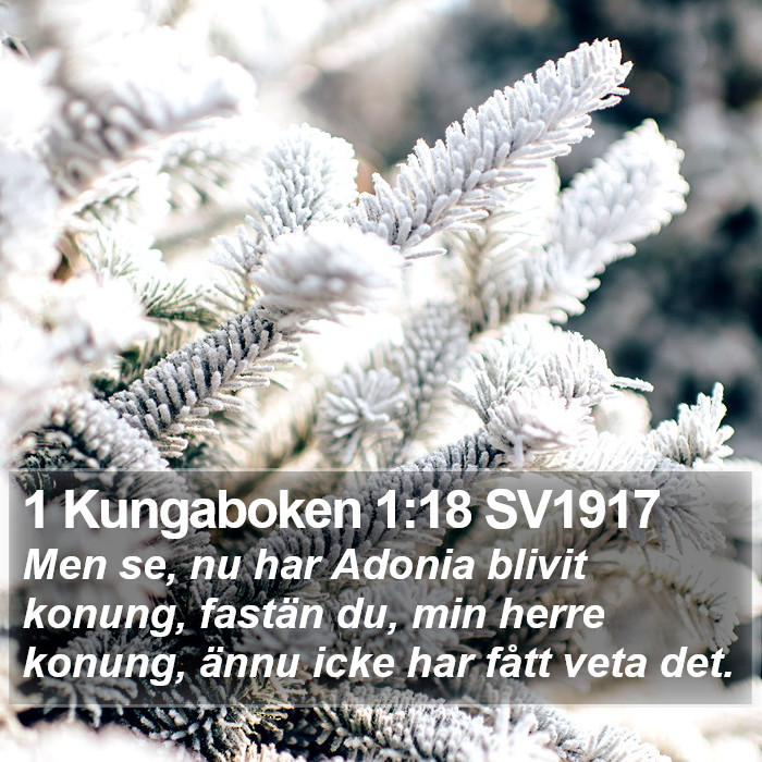 1 Kungaboken 1:18 SV1917 Bible Study