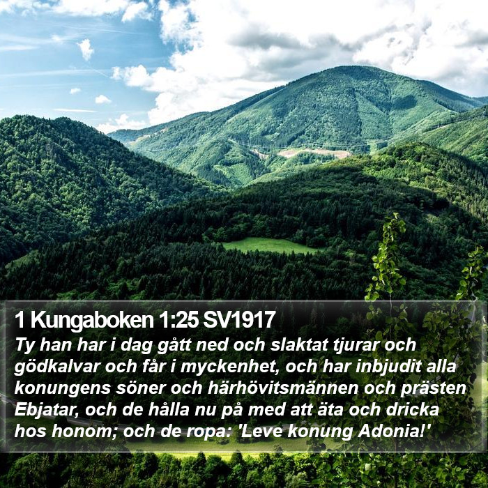 1 Kungaboken 1:25 SV1917 Bible Study