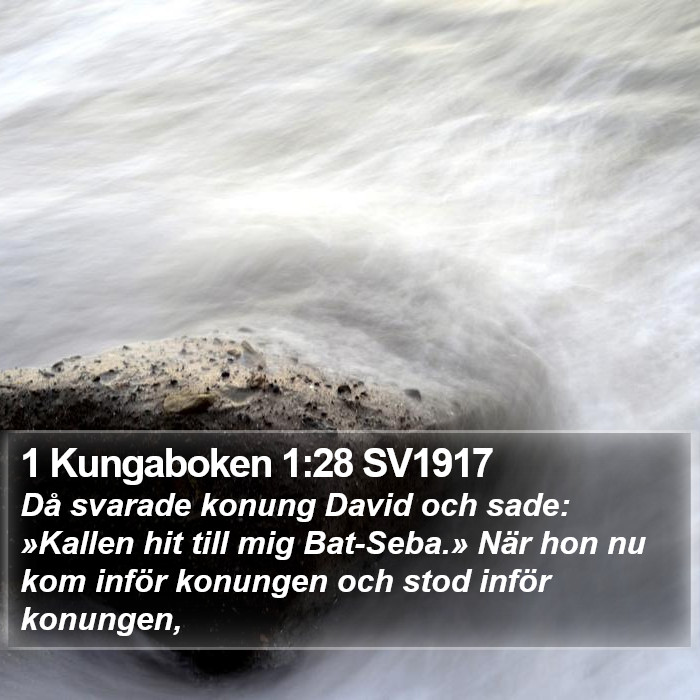 1 Kungaboken 1:28 SV1917 Bible Study