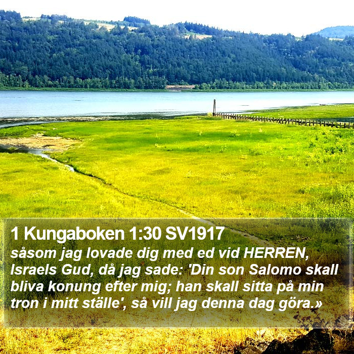 1 Kungaboken 1:30 SV1917 Bible Study