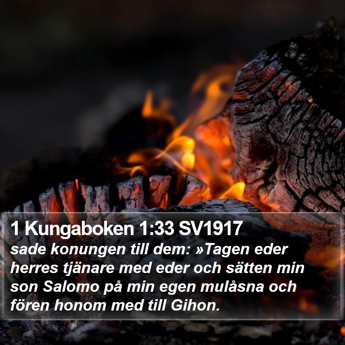 1 Kungaboken 1:33 SV1917 Bible Study