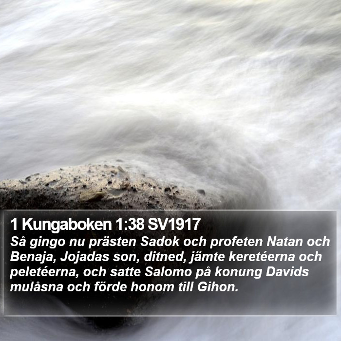 1 Kungaboken 1:38 SV1917 Bible Study