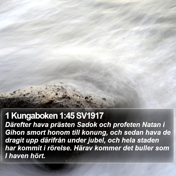 1 Kungaboken 1:45 SV1917 Bible Study