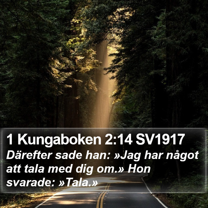 1 Kungaboken 2:14 SV1917 Bible Study