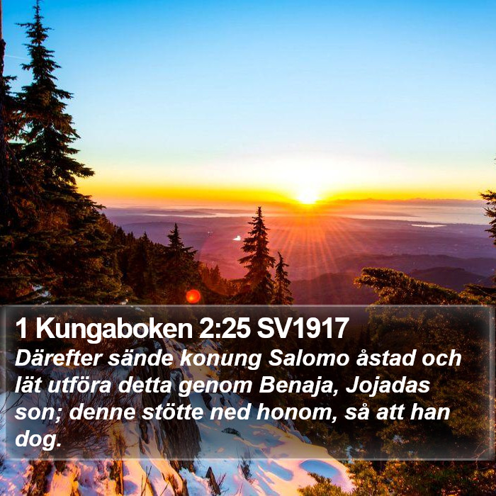 1 Kungaboken 2:25 SV1917 Bible Study