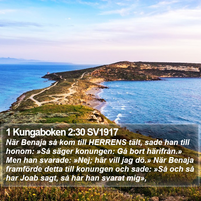 1 Kungaboken 2:30 SV1917 Bible Study
