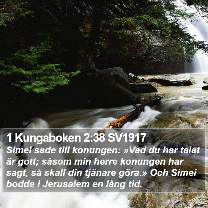 1 Kungaboken 2:38 SV1917 Bible Study