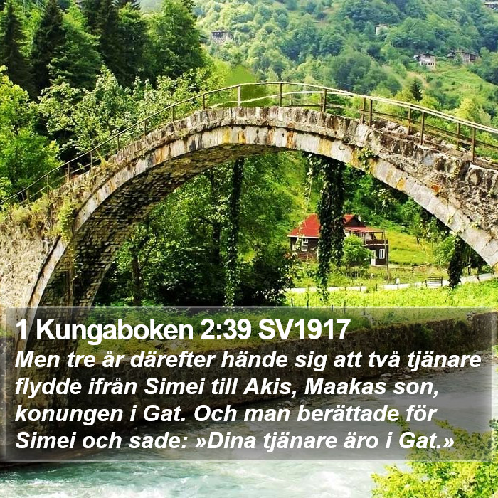 1 Kungaboken 2:39 SV1917 Bible Study