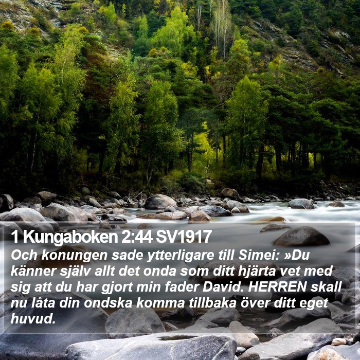 1 Kungaboken 2:44 SV1917 Bible Study