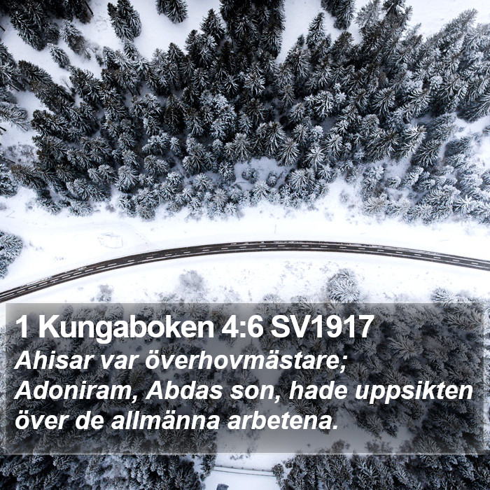 1 Kungaboken 4:6 SV1917 Bible Study