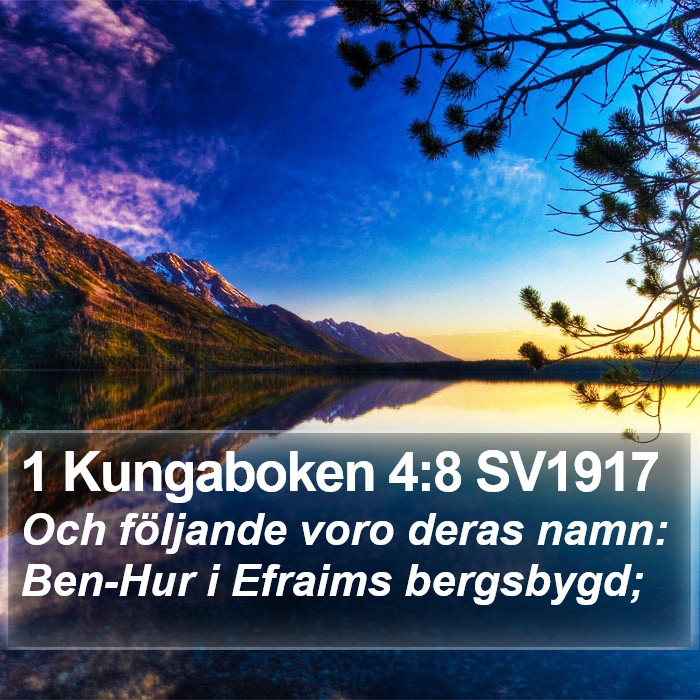 1 Kungaboken 4:8 SV1917 Bible Study