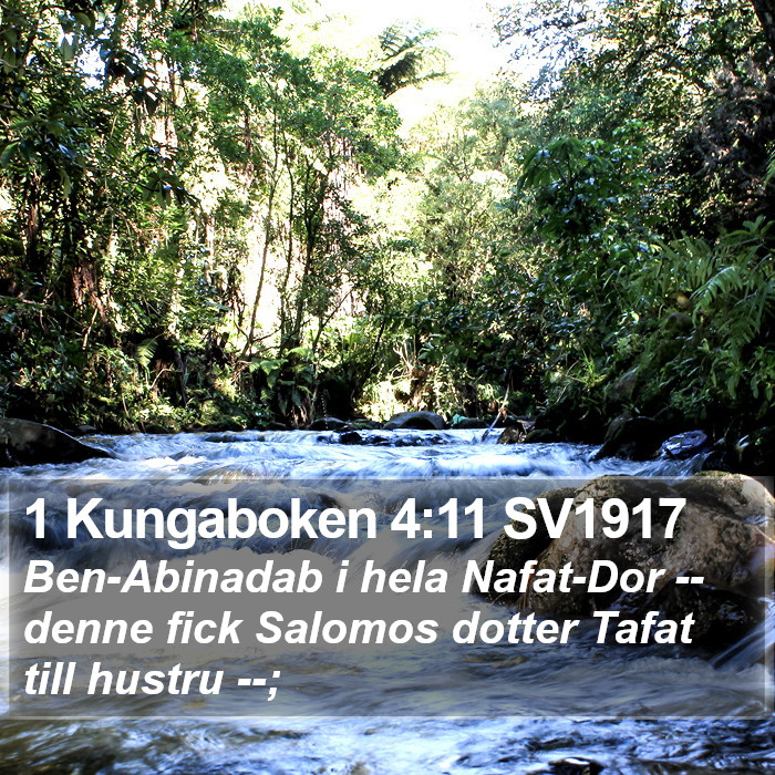 1 Kungaboken 4:11 SV1917 Bible Study