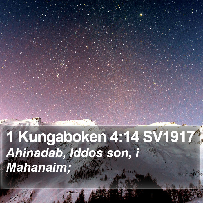 1 Kungaboken 4:14 SV1917 Bible Study