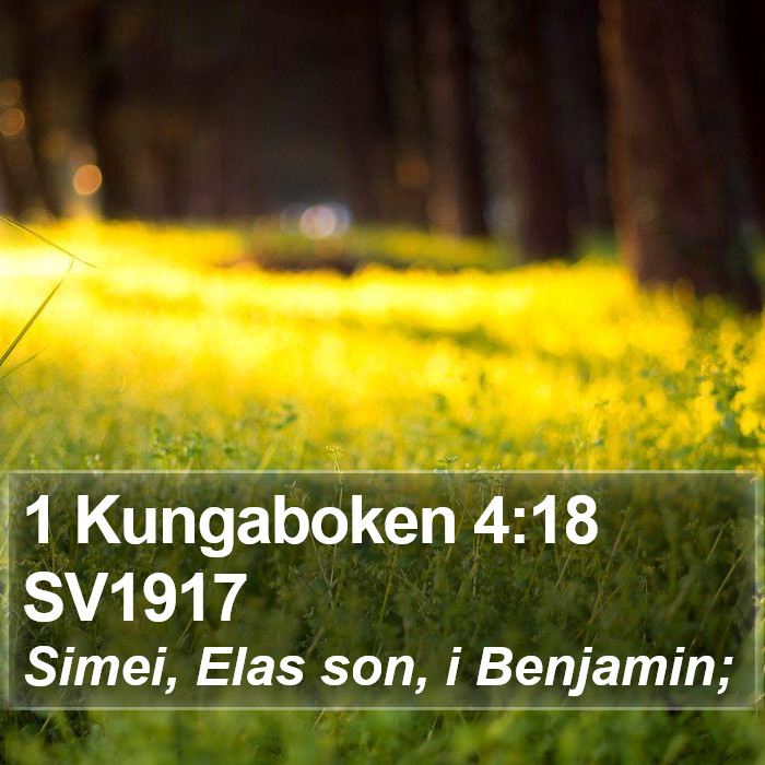 1 Kungaboken 4:18 SV1917 Bible Study