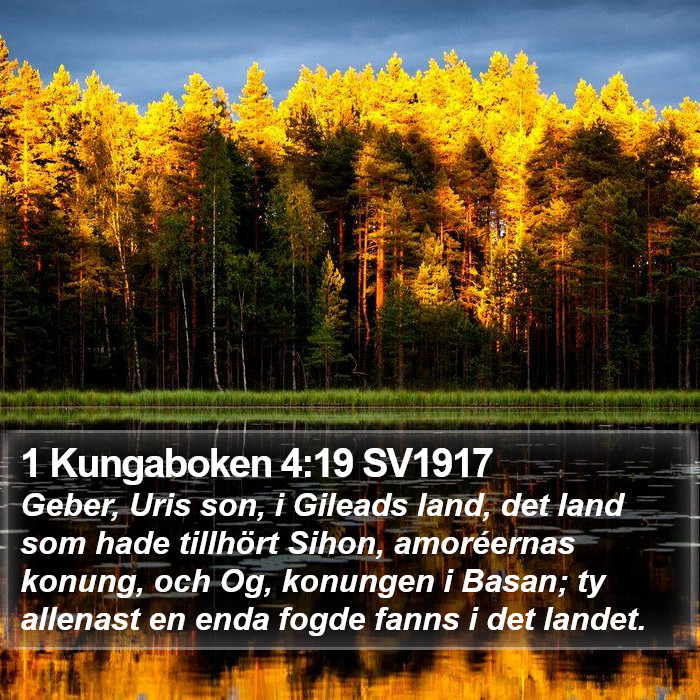 1 Kungaboken 4:19 SV1917 Bible Study