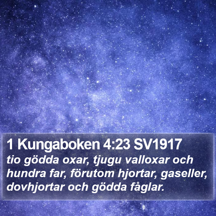 1 Kungaboken 4:23 SV1917 Bible Study