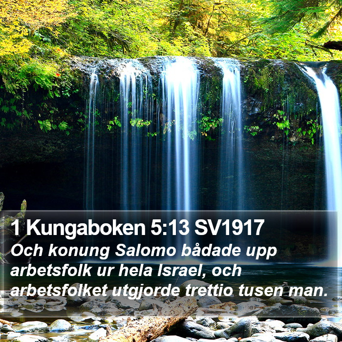 1 Kungaboken 5:13 SV1917 Bible Study