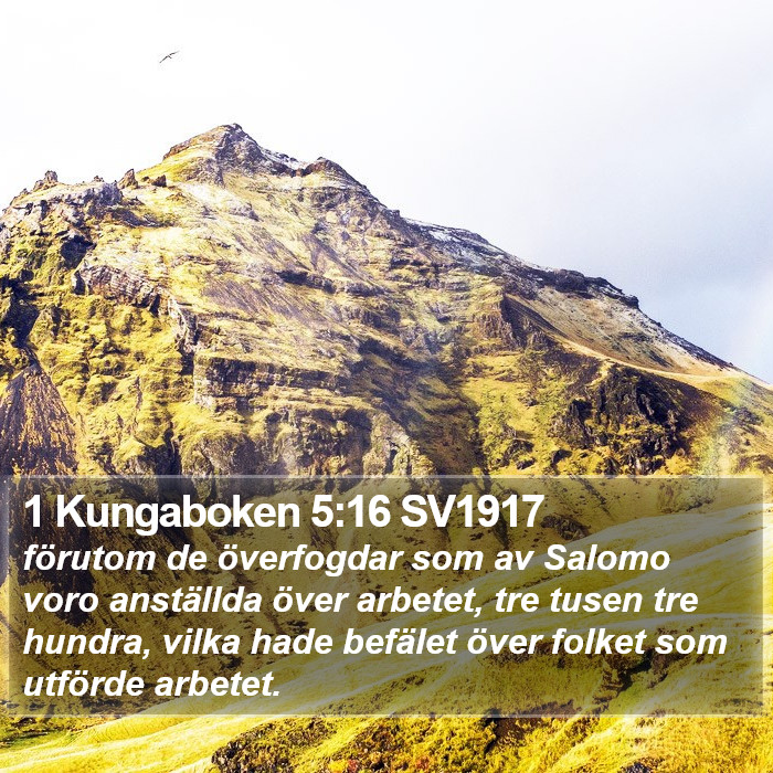 1 Kungaboken 5:16 SV1917 Bible Study