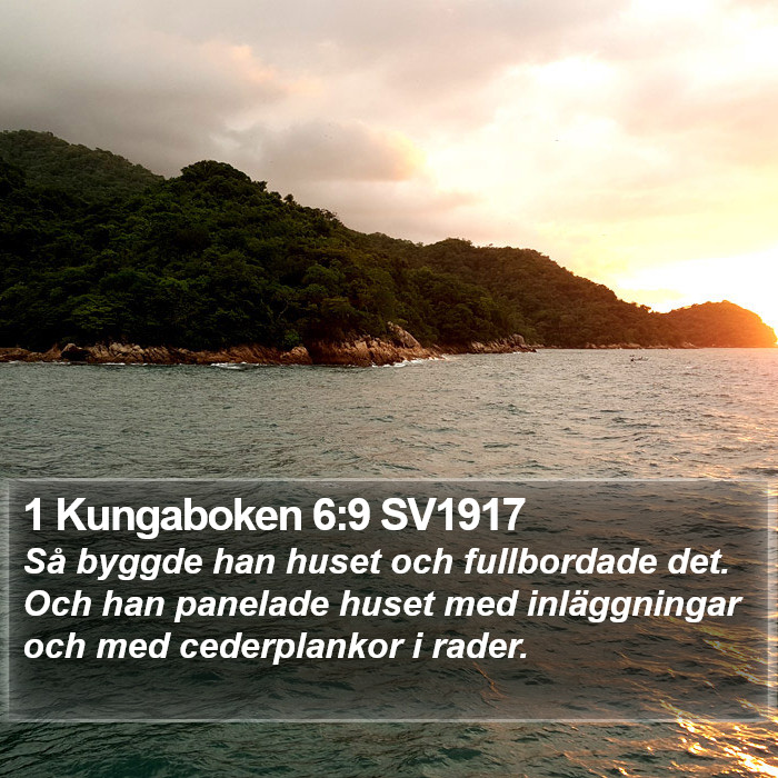 1 Kungaboken 6:9 SV1917 Bible Study