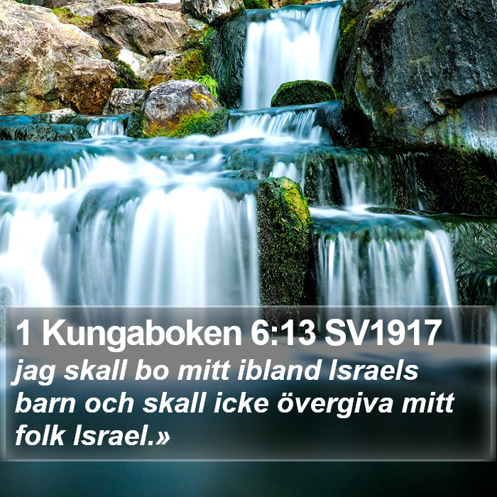 1 Kungaboken 6:13 SV1917 Bible Study