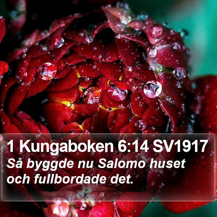 1 Kungaboken 6:14 SV1917 Bible Study