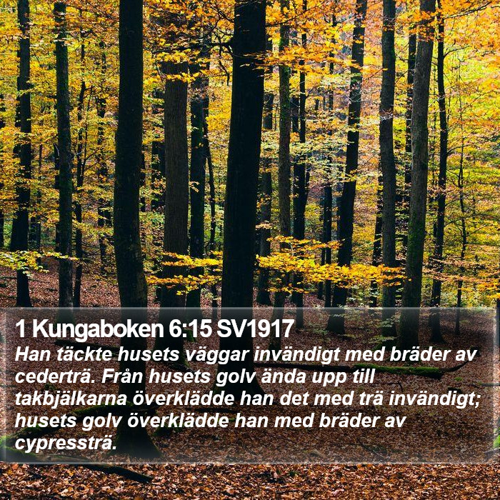 1 Kungaboken 6:15 SV1917 Bible Study