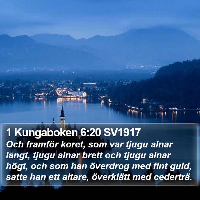 1 Kungaboken 6:20 SV1917 Bible Study