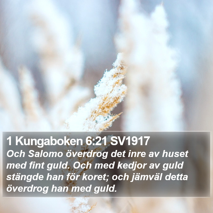 1 Kungaboken 6:21 SV1917 Bible Study