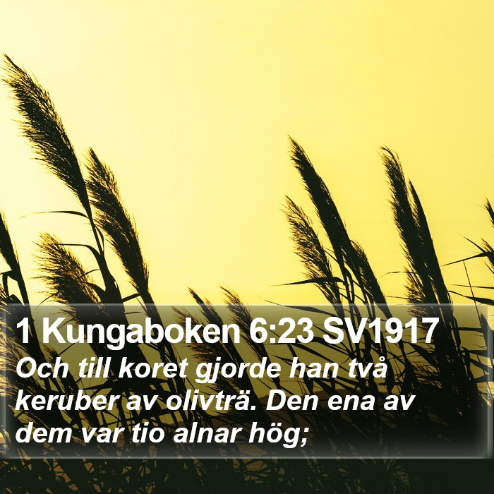 1 Kungaboken 6:23 SV1917 Bible Study