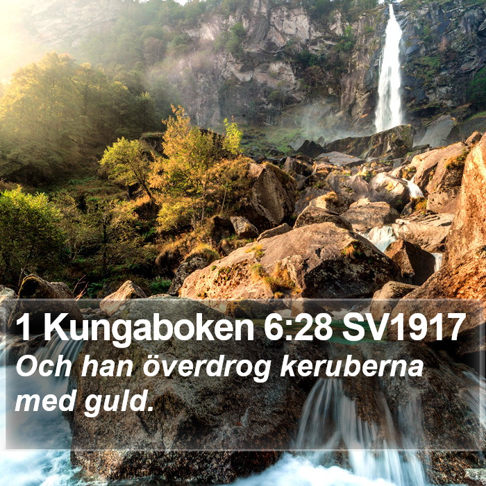 1 Kungaboken 6:28 SV1917 Bible Study