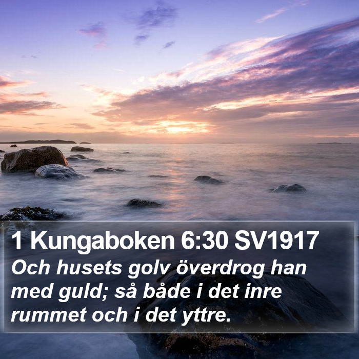 1 Kungaboken 6:30 SV1917 Bible Study