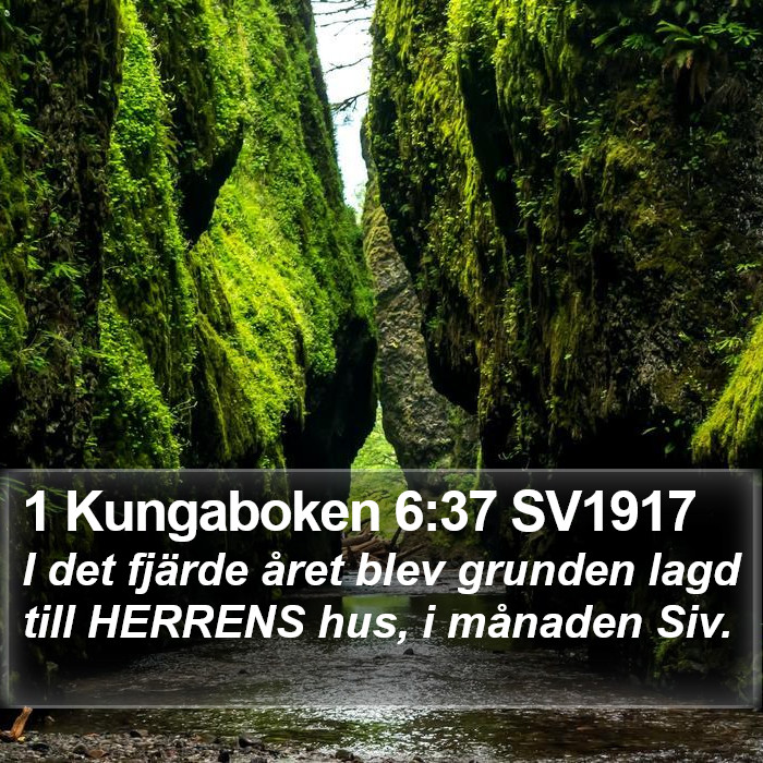 1 Kungaboken 6:37 SV1917 Bible Study
