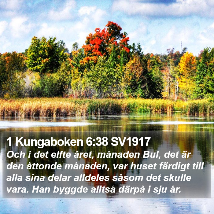 1 Kungaboken 6:38 SV1917 Bible Study