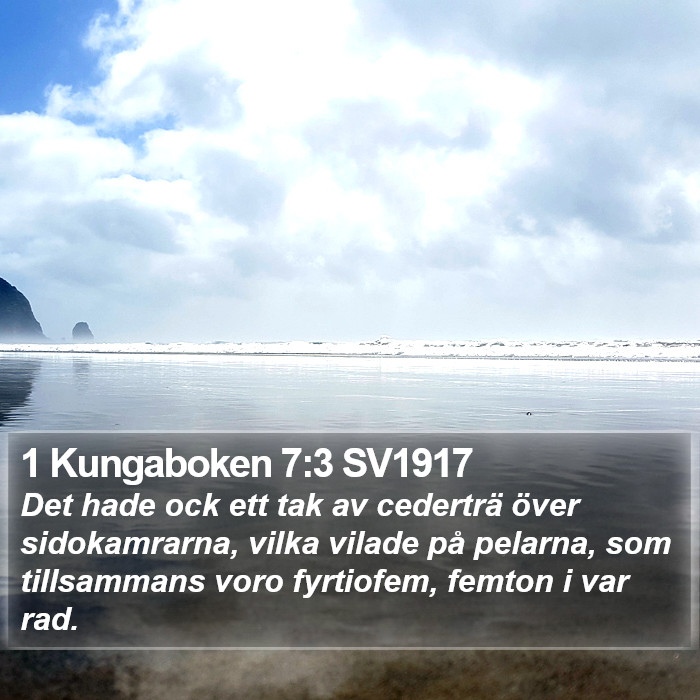 1 Kungaboken 7:3 SV1917 Bible Study