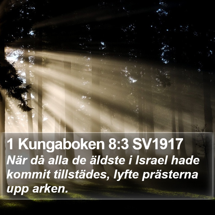 1 Kungaboken 8:3 SV1917 Bible Study