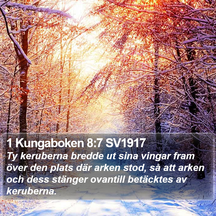 1 Kungaboken 8:7 SV1917 Bible Study