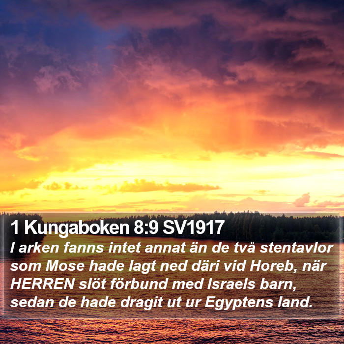 1 Kungaboken 8:9 SV1917 Bible Study