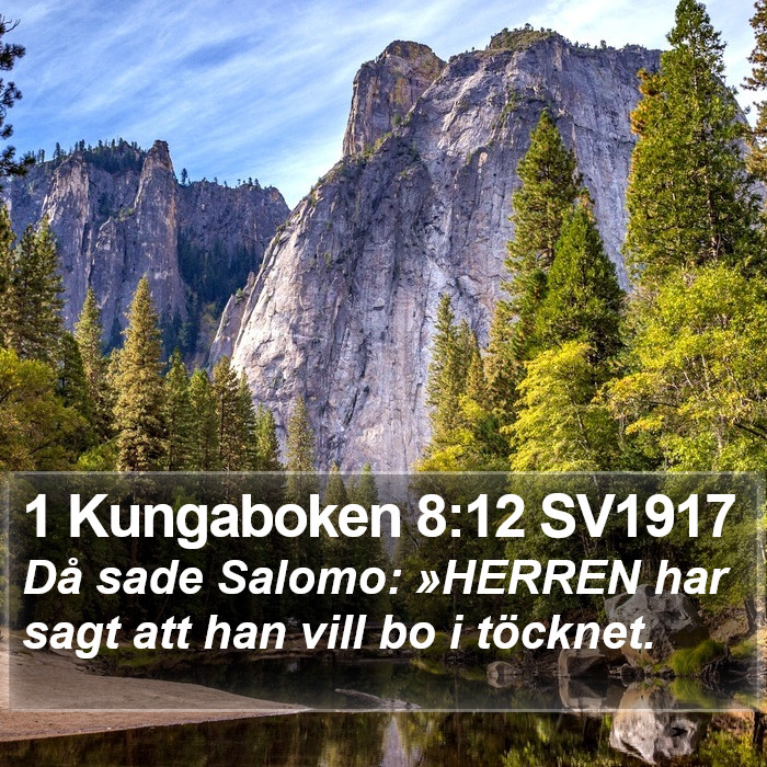 1 Kungaboken 8:12 SV1917 Bible Study