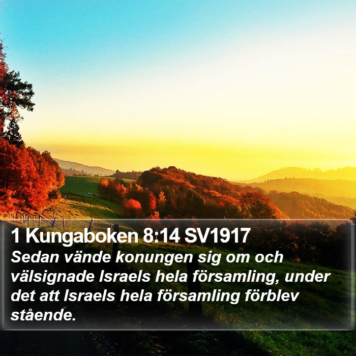 1 Kungaboken 8:14 SV1917 Bible Study