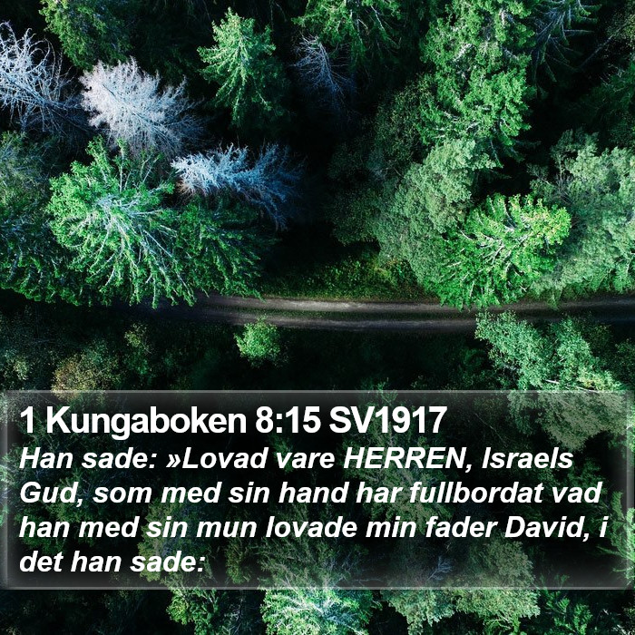 1 Kungaboken 8:15 SV1917 Bible Study