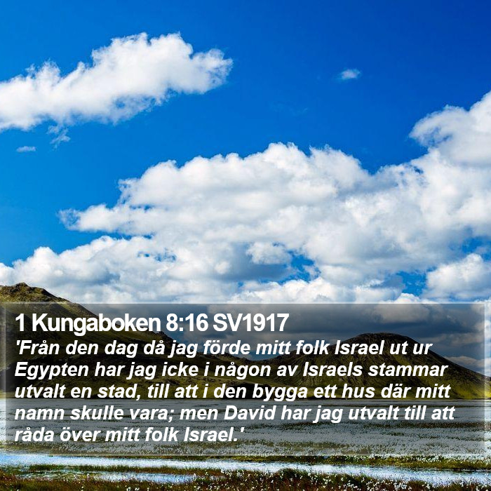 1 Kungaboken 8:16 SV1917 Bible Study