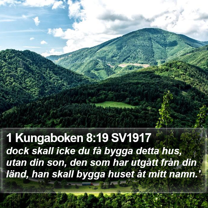 1 Kungaboken 8:19 SV1917 Bible Study