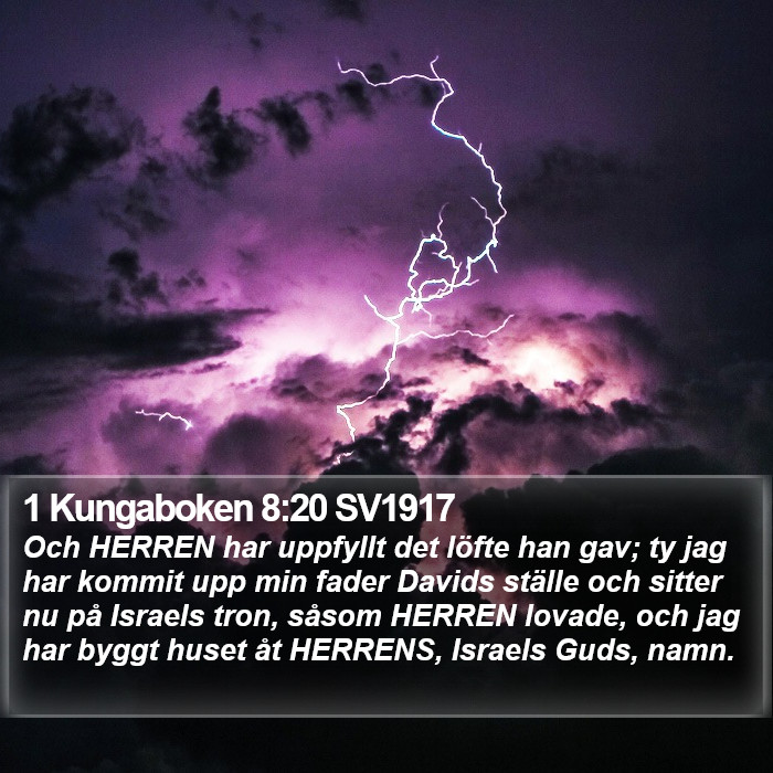 1 Kungaboken 8:20 SV1917 Bible Study