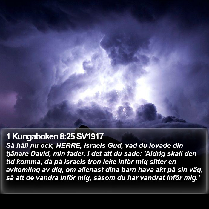 1 Kungaboken 8:25 SV1917 Bible Study