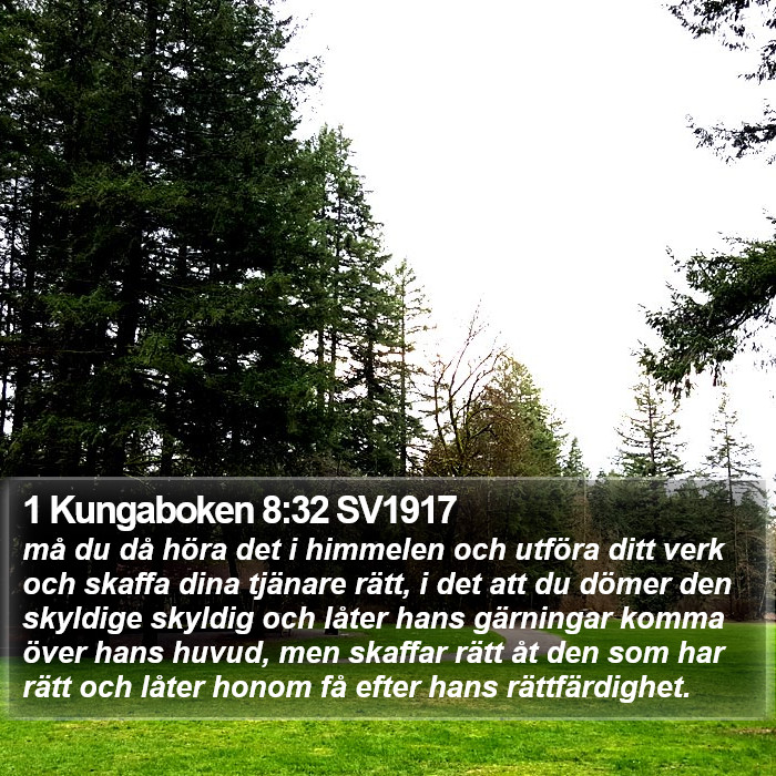 1 Kungaboken 8:32 SV1917 Bible Study