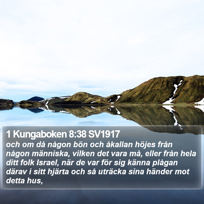 1 Kungaboken 8:38 SV1917 Bible Study